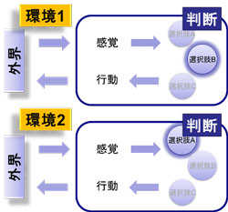 柔軟な判断の研究