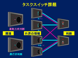 柔軟な判断の研究